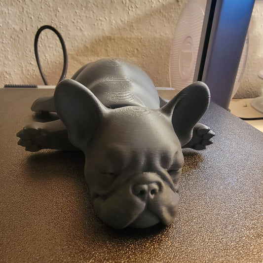 Sleeping French Bulldog