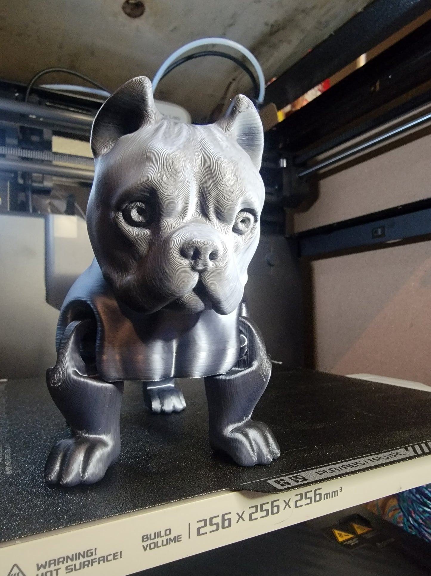 American Bully Articulated