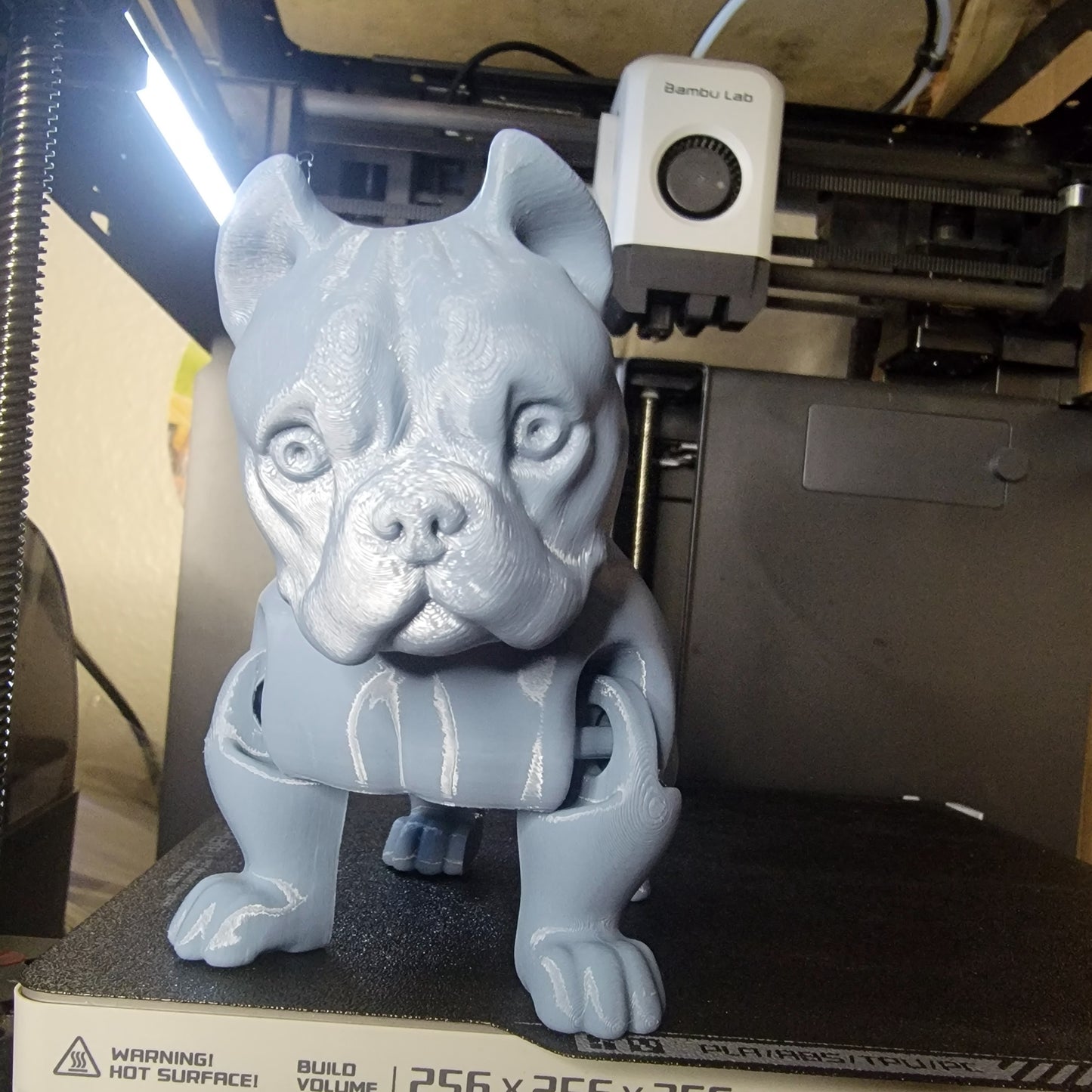 American Bully Articulated