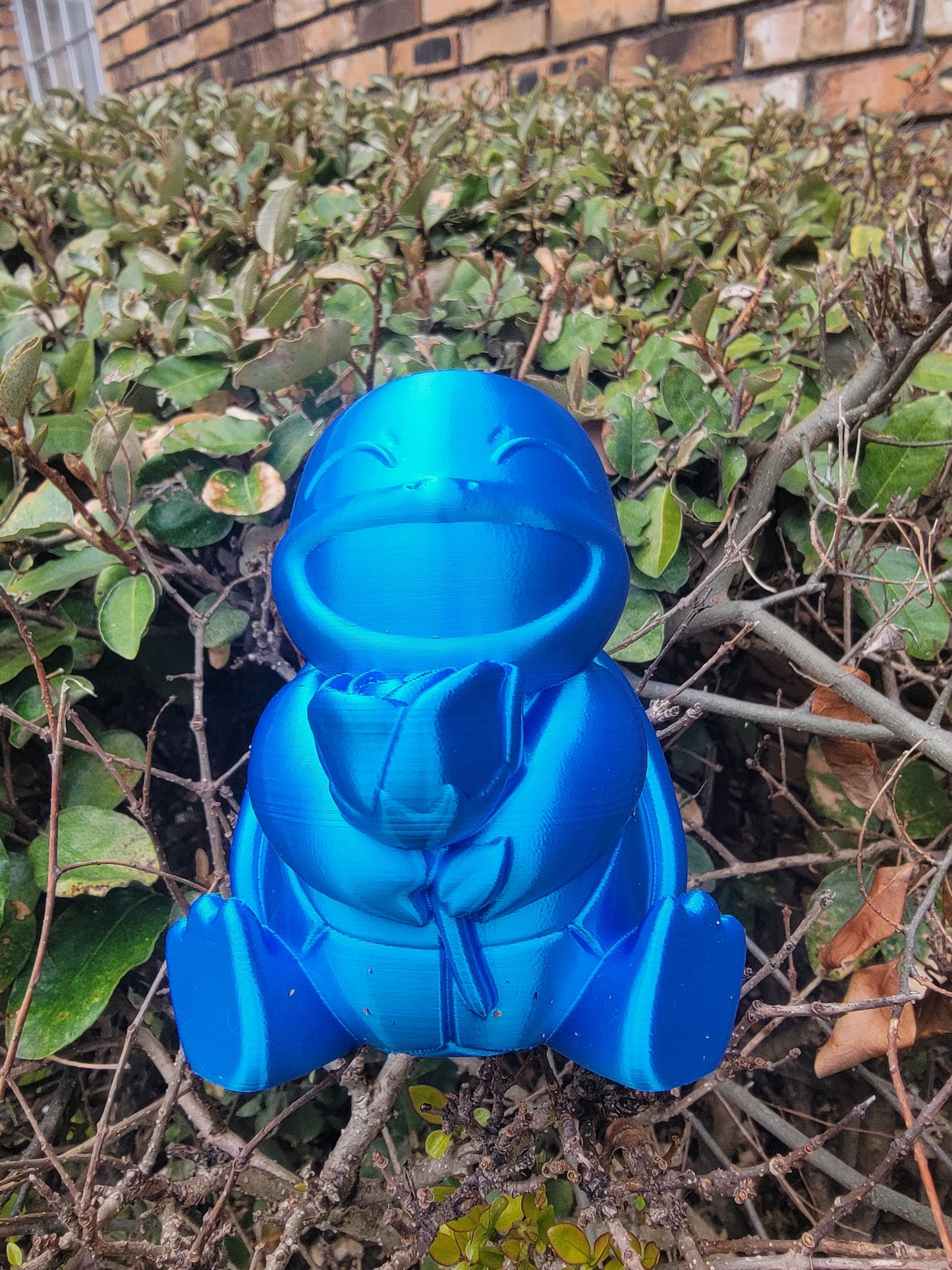 Valentine's Squirtle