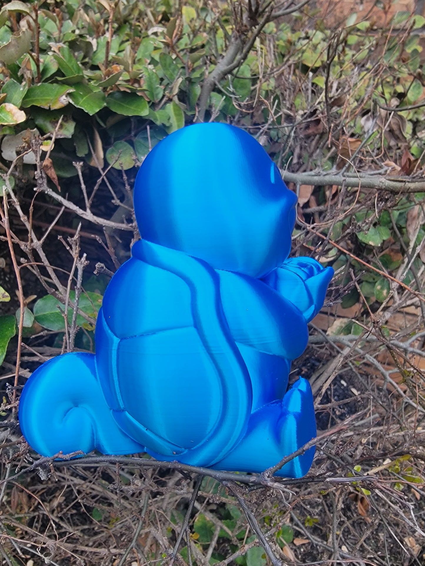 Valentine's Squirtle